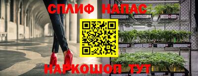 мдпв Владивосток
