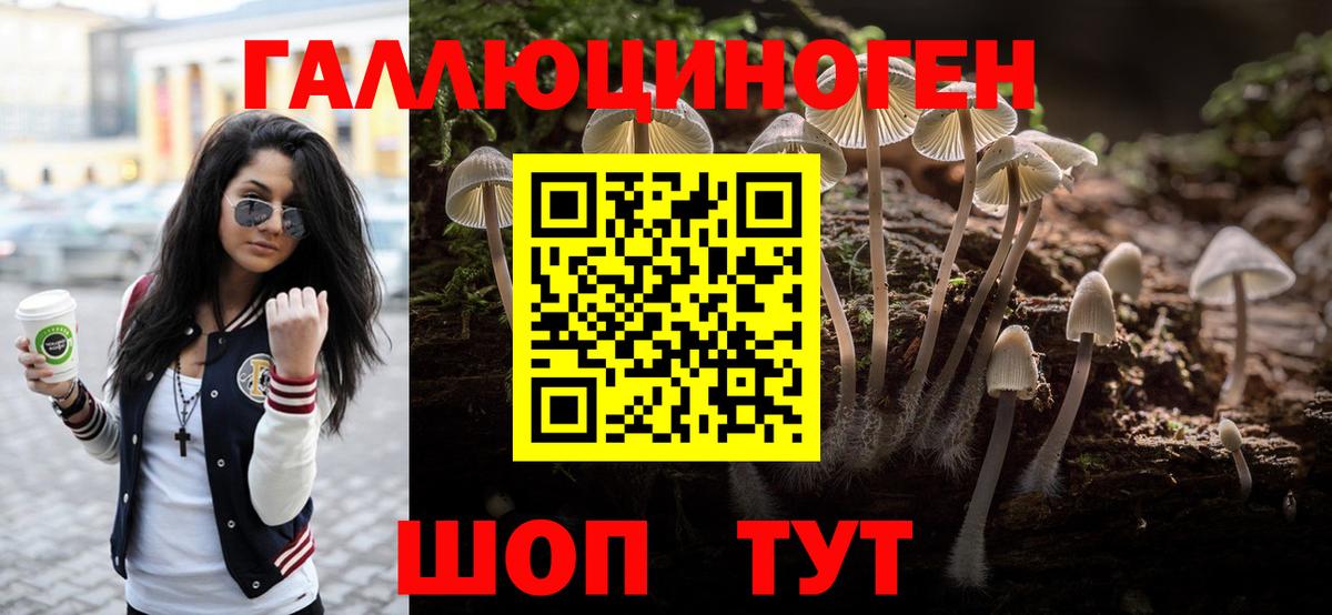 где можно купить   Вход с VPN  Гудермес  Галлюциногенные грибы прущие грибы 