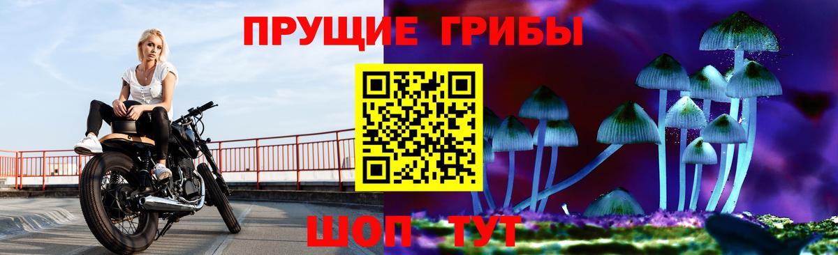 Галлюциногенные грибы мицелий Гудермес